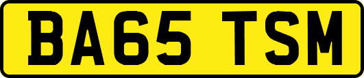 BA65TSM