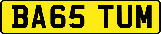 BA65TUM