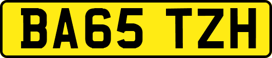 BA65TZH