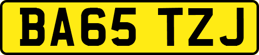 BA65TZJ