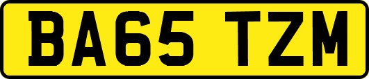 BA65TZM