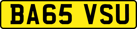 BA65VSU