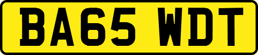 BA65WDT