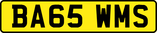 BA65WMS