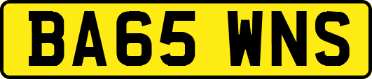 BA65WNS