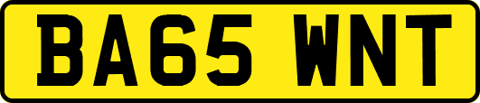 BA65WNT