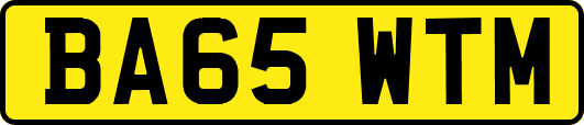 BA65WTM