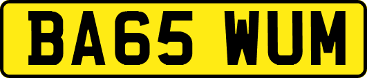 BA65WUM