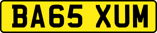 BA65XUM
