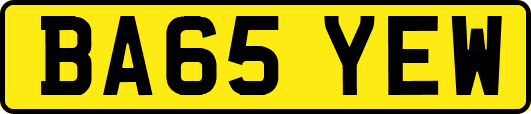 BA65YEW