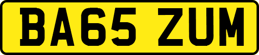 BA65ZUM