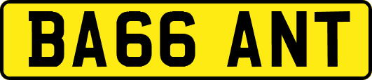BA66ANT
