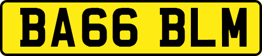 BA66BLM