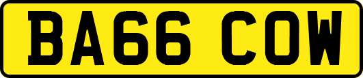 BA66COW