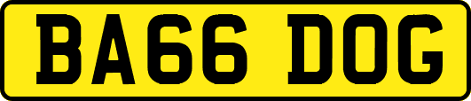BA66DOG