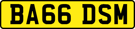 BA66DSM