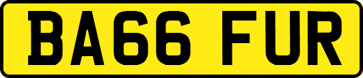 BA66FUR