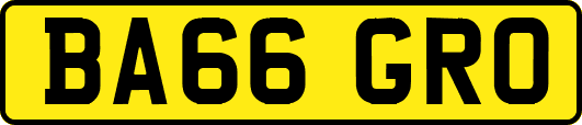 BA66GRO