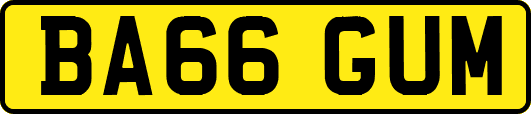 BA66GUM