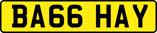 BA66HAY