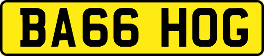 BA66HOG