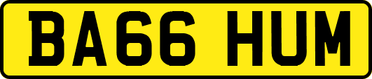 BA66HUM