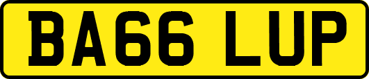 BA66LUP