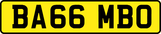 BA66MBO