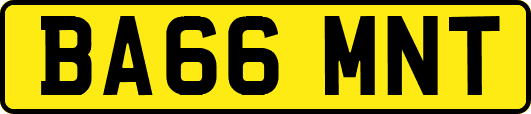 BA66MNT