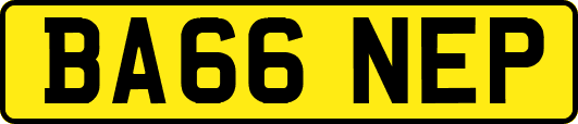 BA66NEP