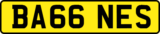 BA66NES