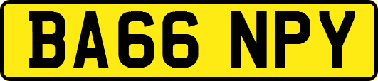 BA66NPY