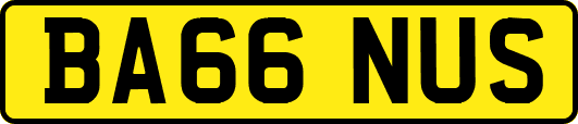 BA66NUS