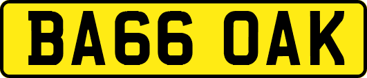 BA66OAK