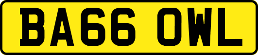 BA66OWL