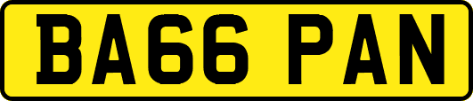 BA66PAN