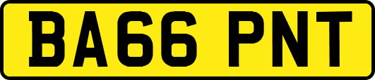 BA66PNT