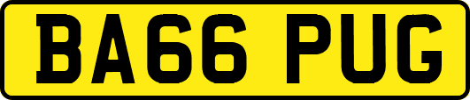 BA66PUG