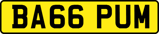 BA66PUM