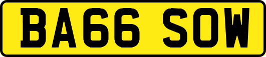 BA66SOW