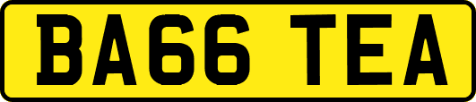 BA66TEA