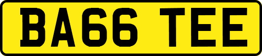 BA66TEE