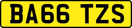 BA66TZS
