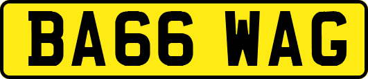 BA66WAG
