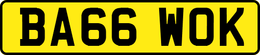 BA66WOK