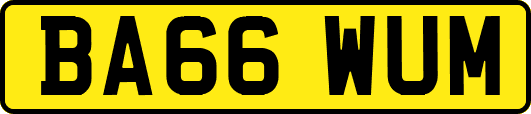 BA66WUM