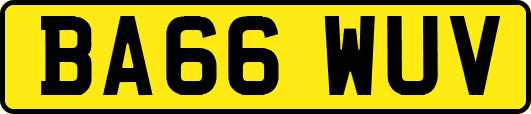 BA66WUV