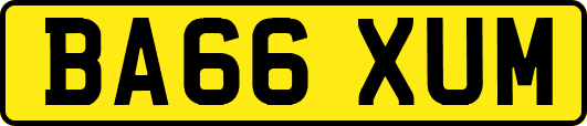 BA66XUM
