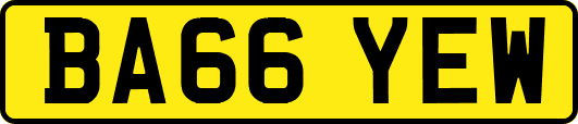 BA66YEW
