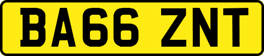 BA66ZNT